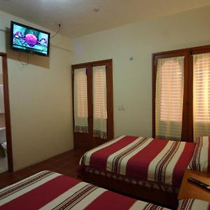 Double Room Two Double Beds